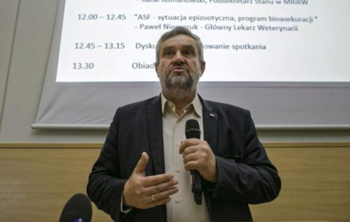 afrykański pomór świń, PZŁ, ASF, Jan Krzysztof Ardanowski, odstrzał dzików