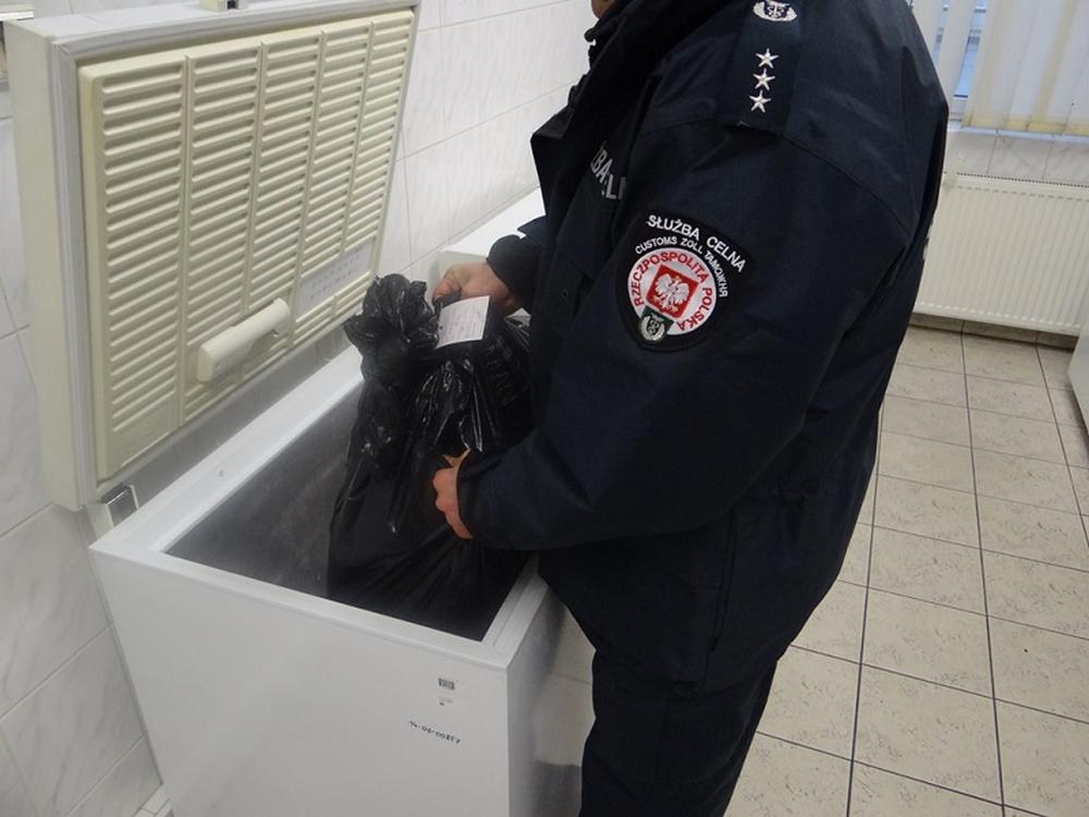 ASF, wirus, przejście graniczne, Białoruś, Ukraina, KAS