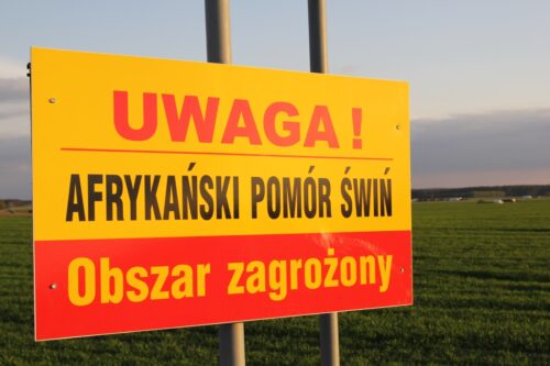 ASF, afrykański pomór świń, Dorota Niedziela, powołanie sejmowej komisji nadzwyczajnej ds. monitorowania walki z wirusem