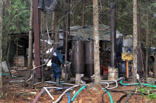 leśna bimbrownia, żednia, gmina Michałowo, podlasie, kas, Służba Celno-Skarbowa