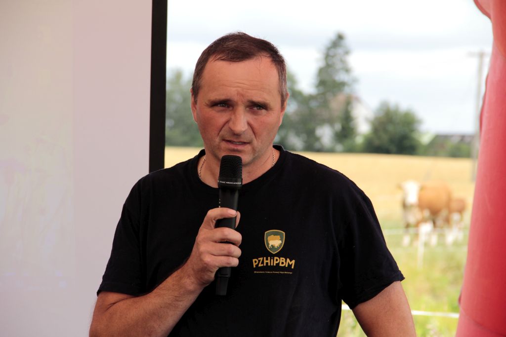 wołowina, QMP, żywiec wołowy, hereford