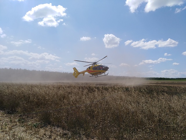 wypadek, żniwa, wypadek podczas żniw, kombajn zbożowy