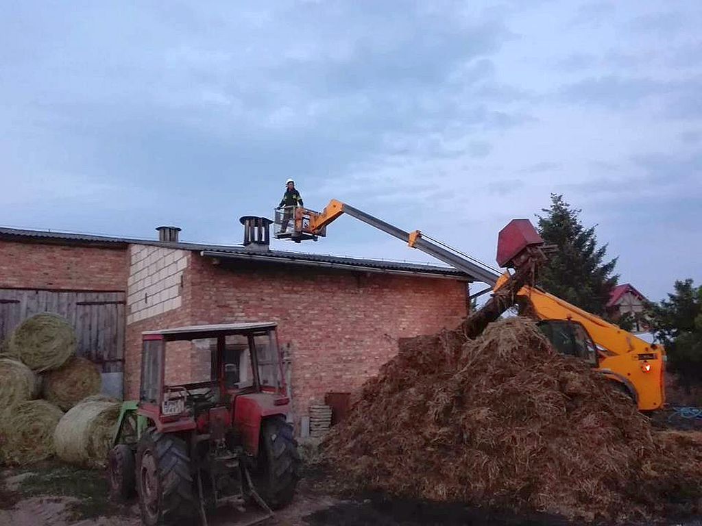 pożar, trzoda chlewna, bydło, byki, śmierć zwierząt, pożar w gospodarstwie