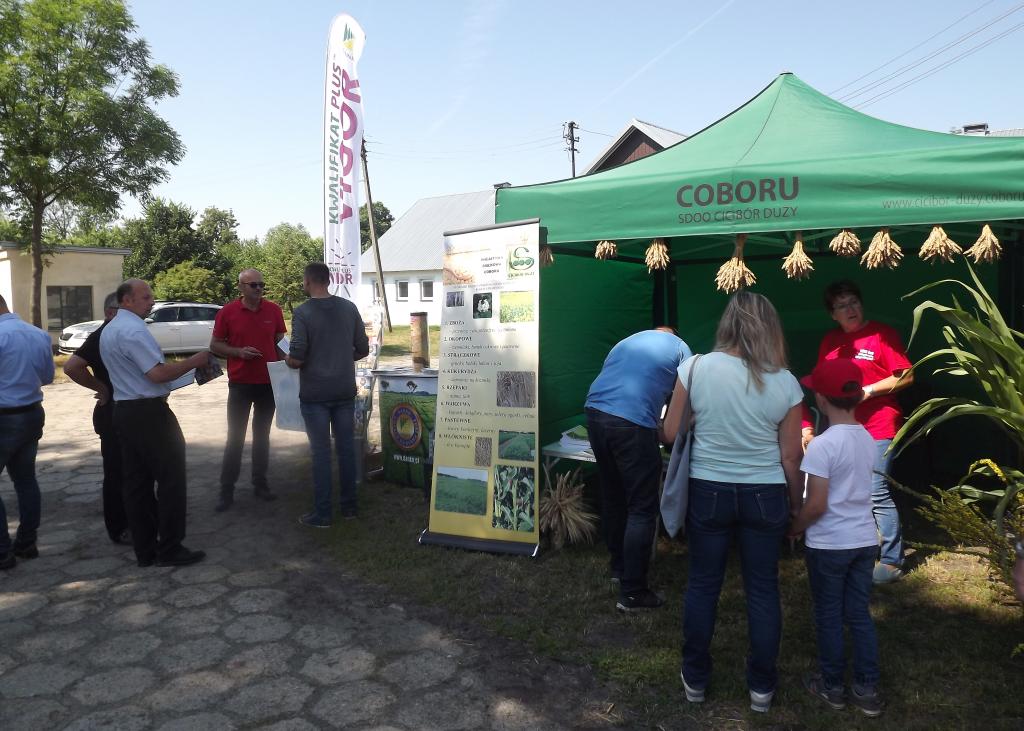 SDOO Cicibór Duży, susza, uprawy, lubelskie, Cicibór Duży, straty w uprawach, soja