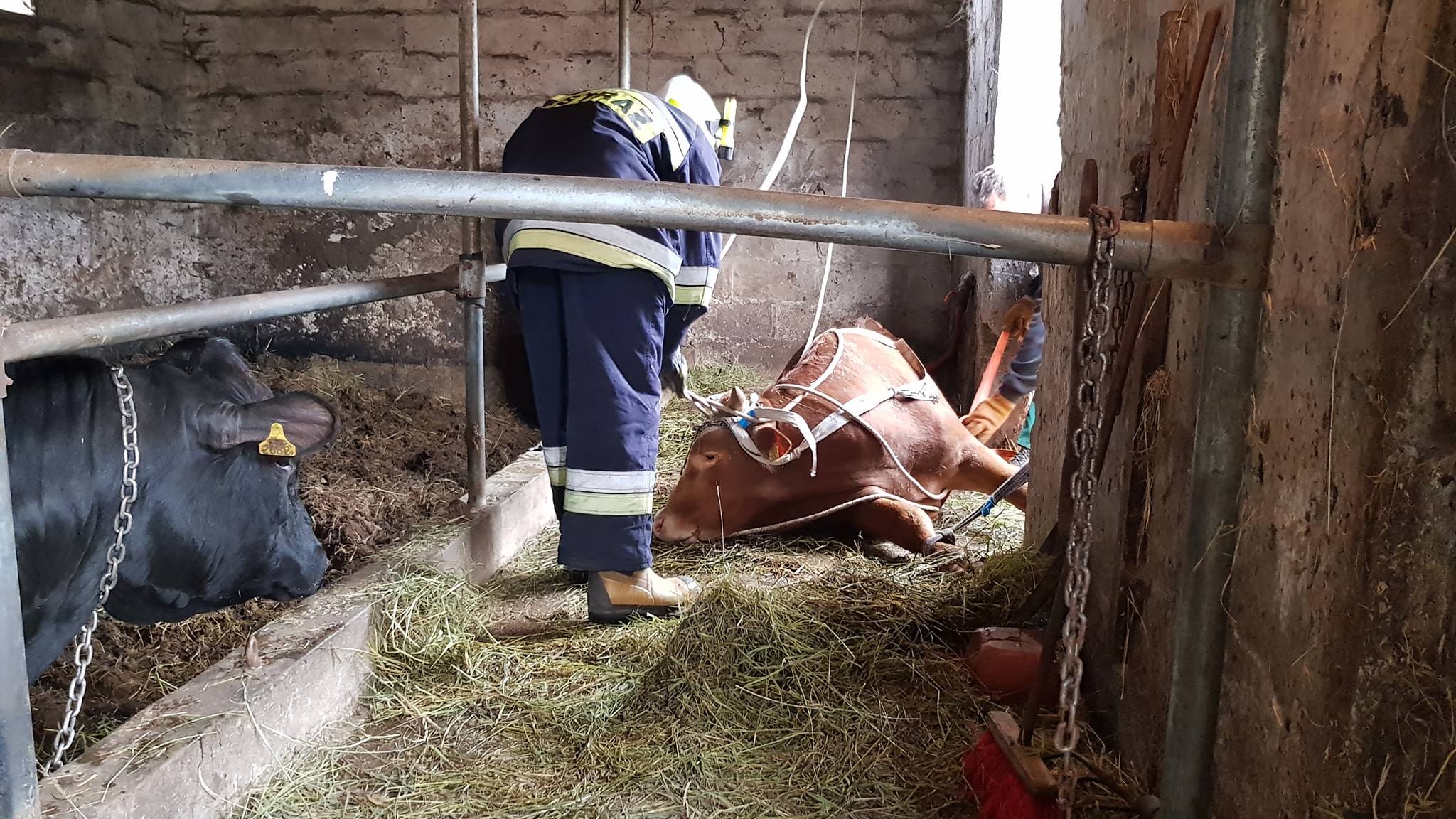 wypadek, policja, śmierć rolnika, mazowieckie, podlaskie