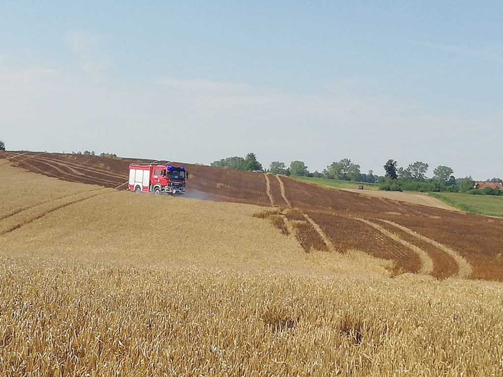 pożar, warmińsko-mazurskie, gmina pieniężno, pożar zbóż, żniwa, OSP