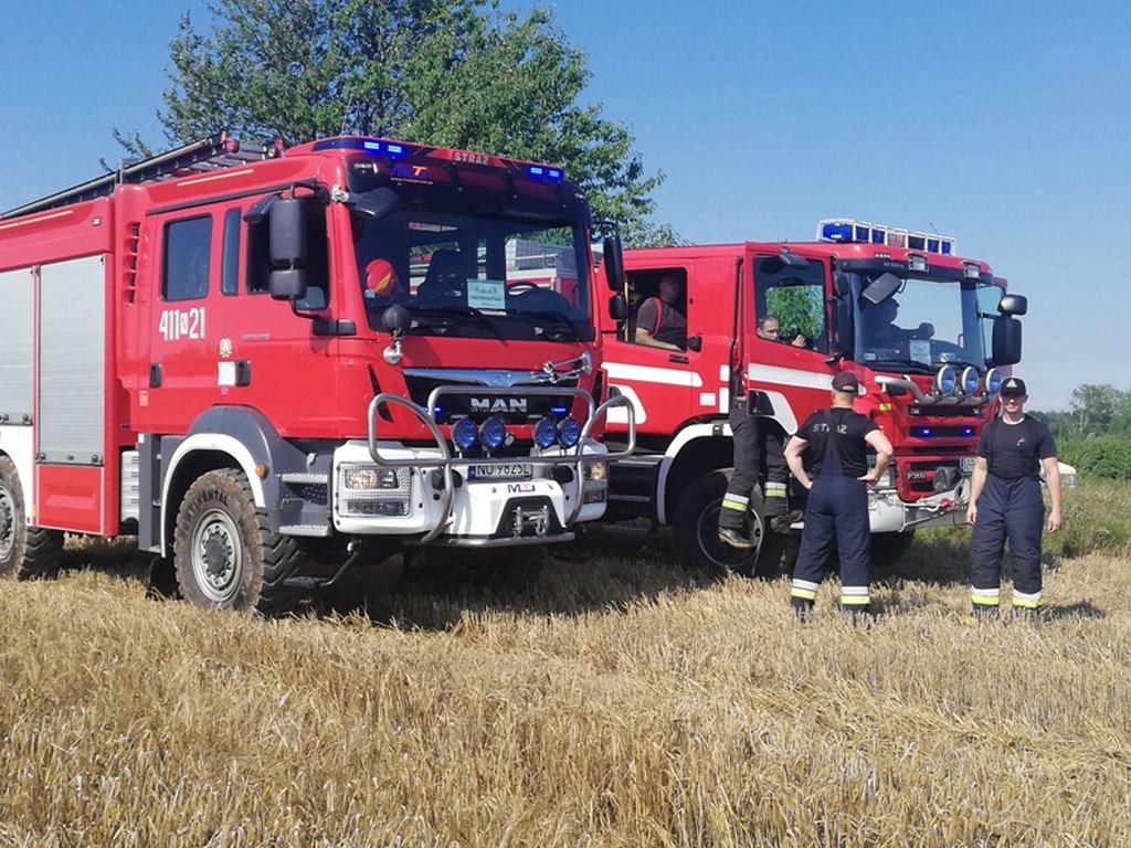 pożar, warmińsko-mazurskie, gmina pieniężno, pożar zbóż, żniwa, OSP