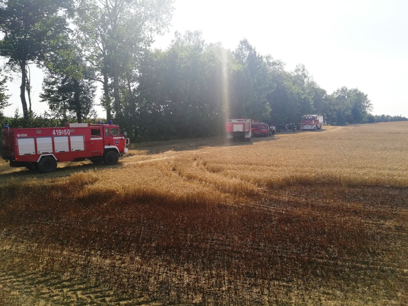 pożar, warmińsko-mazurskie, gmina pieniężno, pożar zbóż, żniwa, OSP