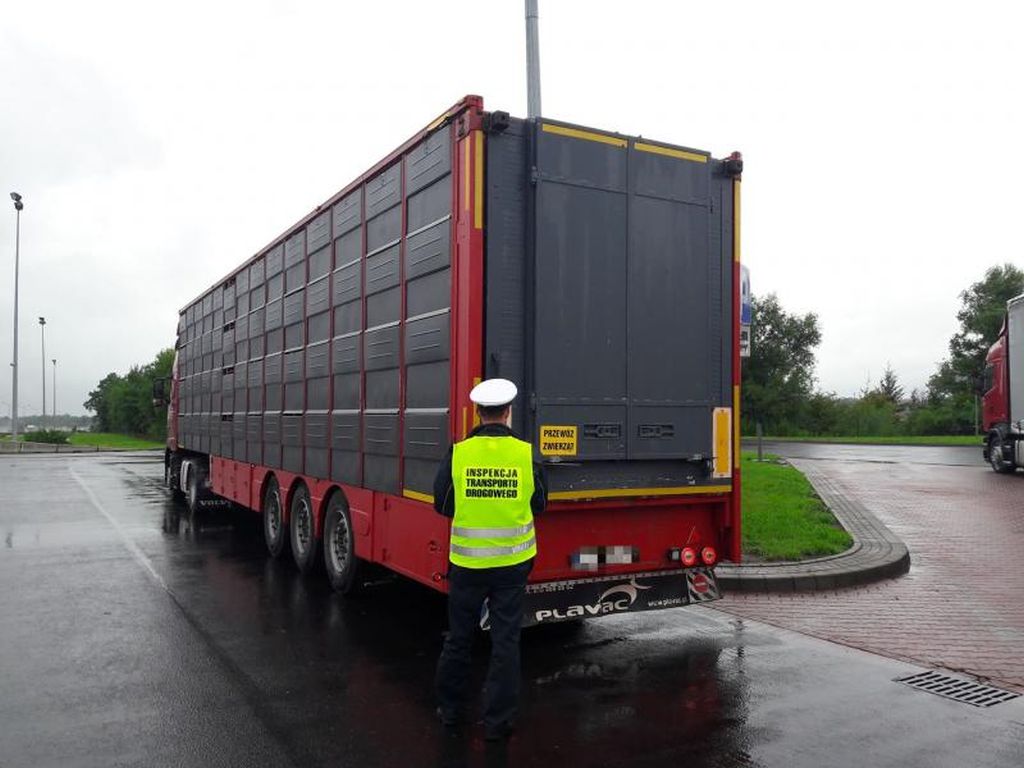 transport, policja, mandat, żywność, ITD, kontrola transportu