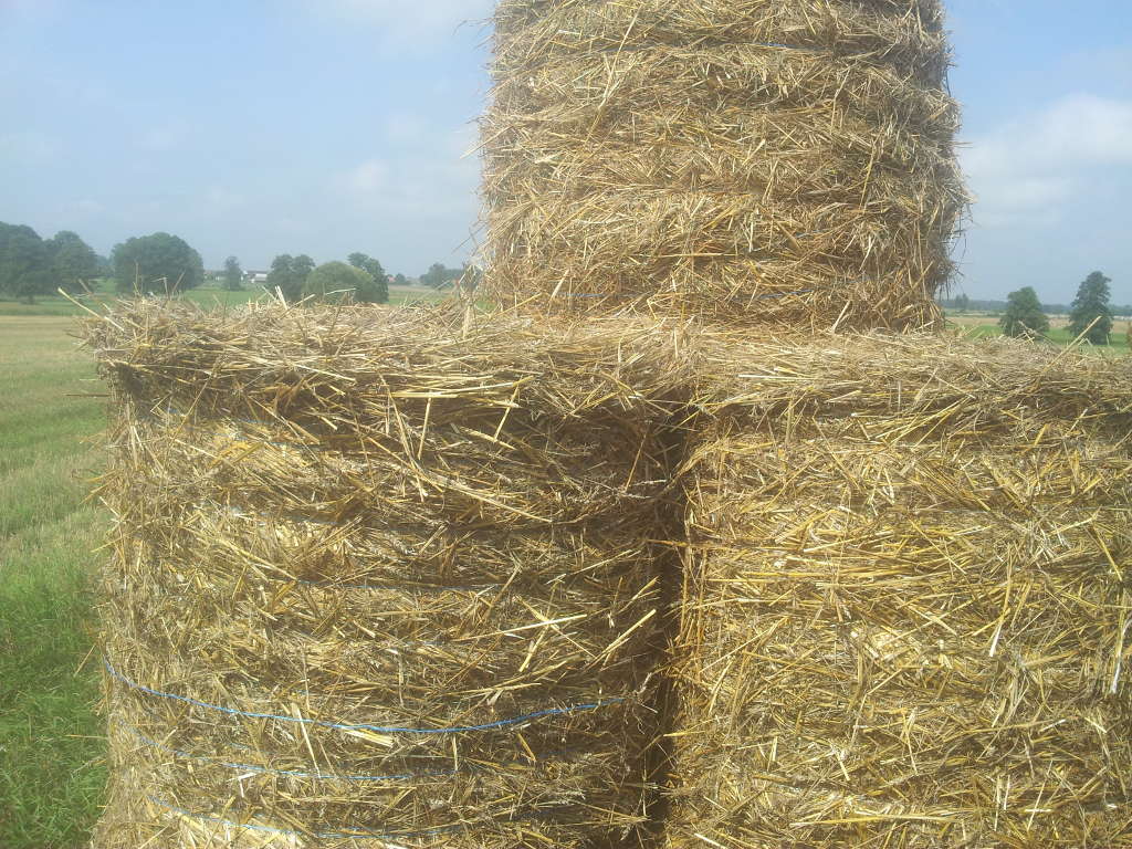 słoma, bele, pole, powiat moniecki