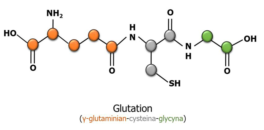 glutation, wzór