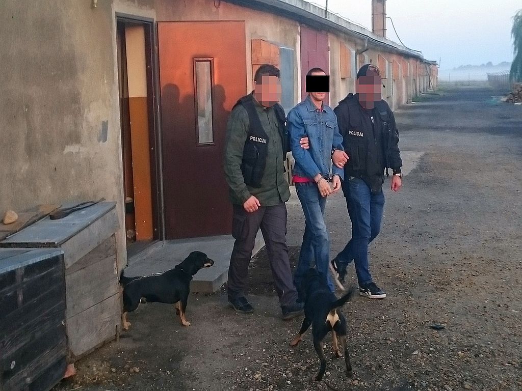 kurza ferma, powiat legnicki, dolny śląsk, bydgoszcz, Przemysław Słomski