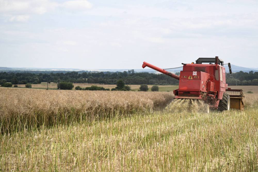 długi rolników, zadłużenie przedsiębiorstw rolnych, spłata kredytów, krd