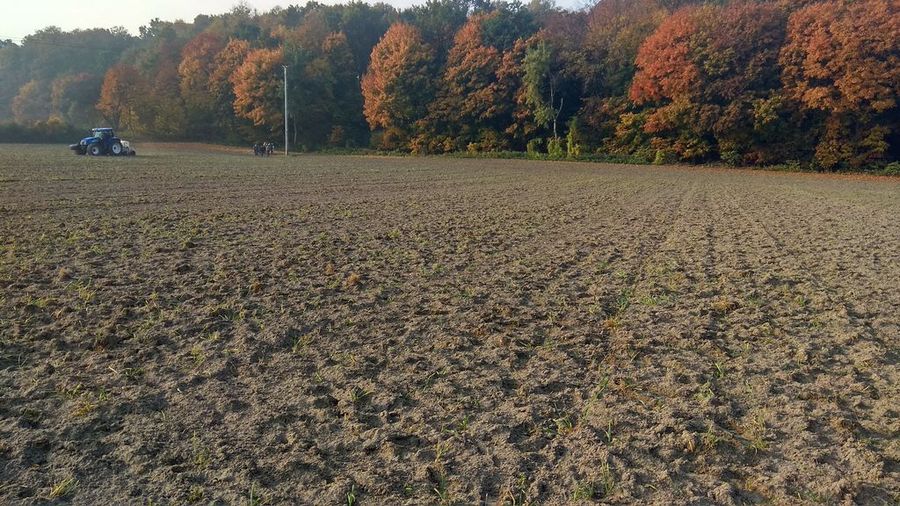 pole, ciągnik, rola