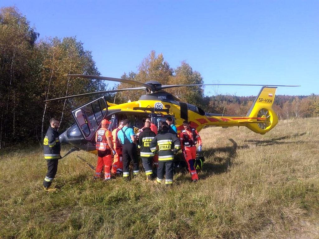 wypadki na polu, wypadki w gospodarstwach, gmina Tokarnia, powiat myślenicki, małopolska