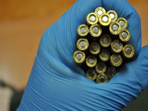 kłusownictwo
