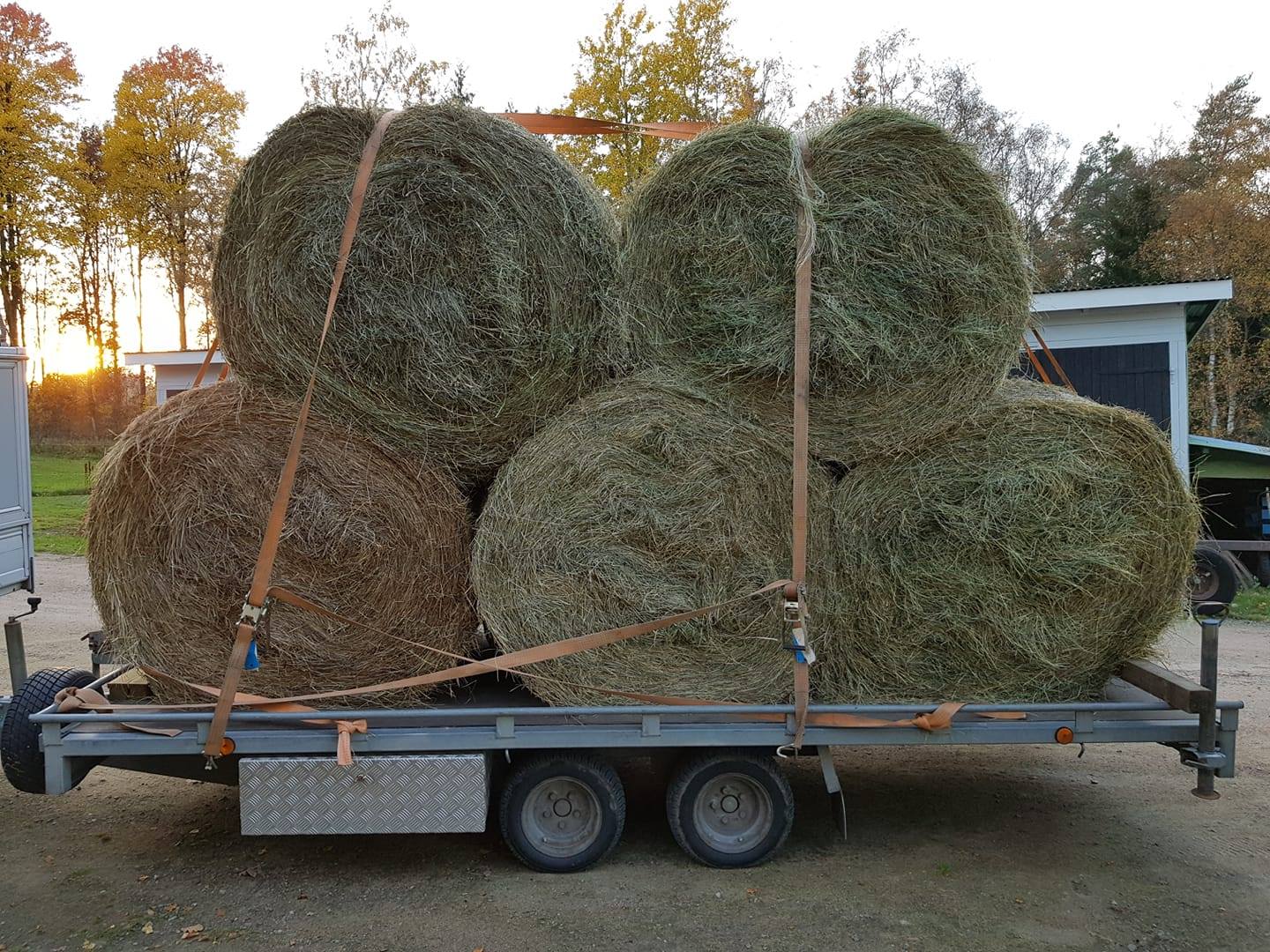 konie, Szwecja, siadno, Daj se siana SOS Szwecja, pomoc szwedzkim rolnikom