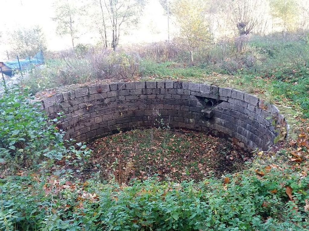 ratowanie zwierząt, Nadleśnictwo Garwolin, Nadleśnictwo Śnieżka, kas, korczowa