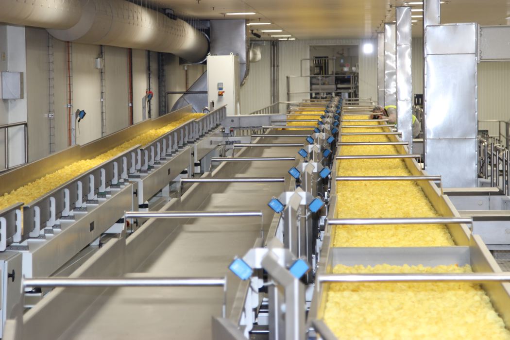 chipsy, produkcja chipsów, Frito-Lay, fabryka chipsów w Grodzisku Mazowieckim, Lay's