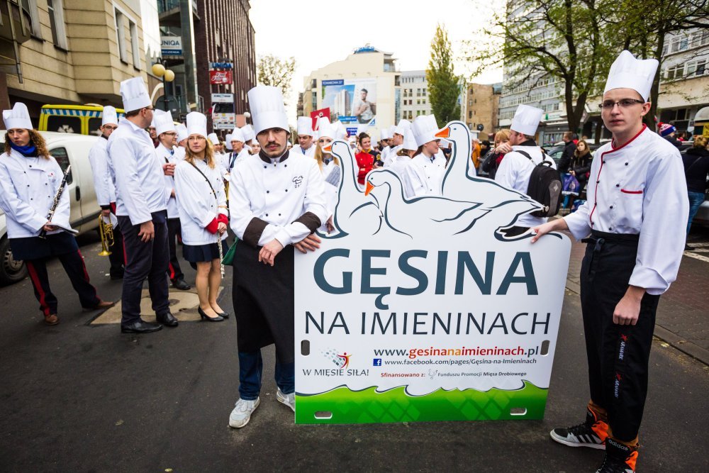 gęś, Kujawsko-Pomorska gęsina na Świętego Marcina, mięso, gęsina