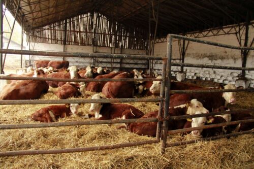 Ceny produktów rolno-spożywczych, łańcuch dostaw żywności, nieuczciwe praktyki handlowe