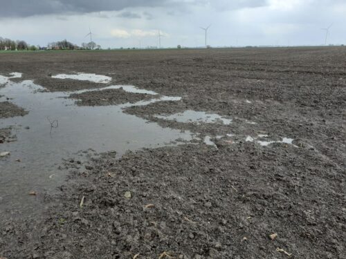 KSC, Program pomocowy dla Plantatorów Buraka Cukrowego, wsparcie KSC dla plantatorów buraka cukrowego, przesiewy
