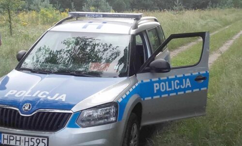 mak, uprawa maku, mak niskomorfinowy, krir, ministerstwo zdrowia
