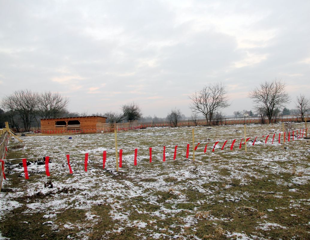 fladry, ataki wilków, kujawy i pomorze, rdoś w bydgoszczy, wfośigw w toruniu