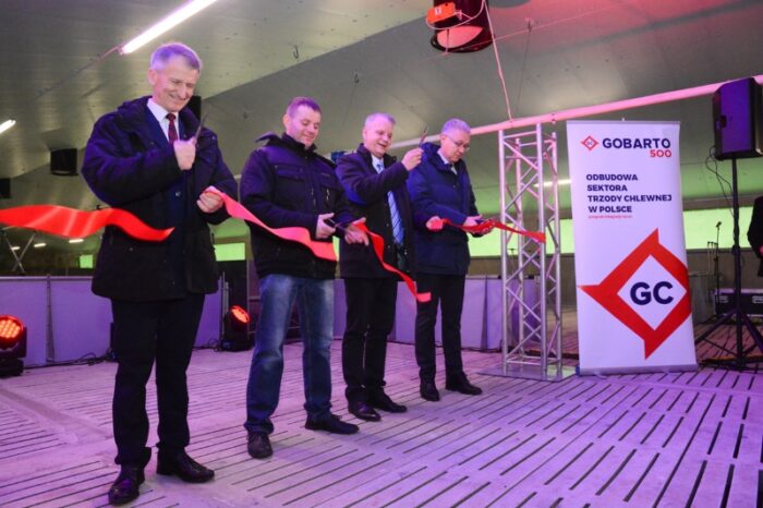 trzoda chlewna, Gobarto 500, produkcja zwierzęca, polska produkcja wieprzowiny