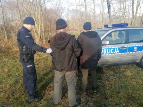 kłusownictwo, kłusownicy, przestępstwo, Lasy Państowe, walka z kłusownikami