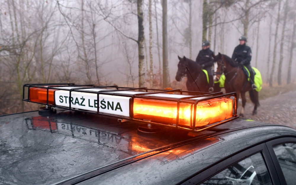 akcja choinka, plantacje choinek, Regionalna Dyrekcja Lasów Państwowych w Szczecinie, straż leśna
