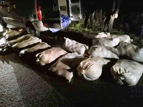 znęcanie się nad zwierzętami , kradzież ryb, policja, wiekopolskie
