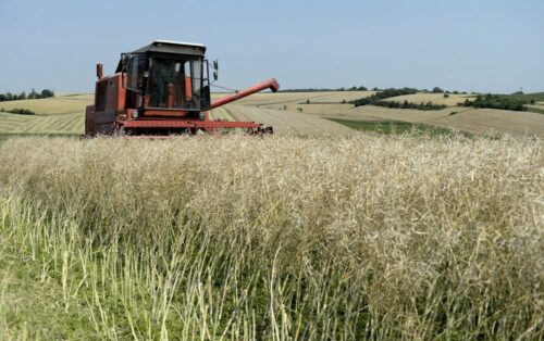 zbiory zbóż, produkcja rzepaku i rzepiku, zbiory owoców, produkcja wrzyw, gus