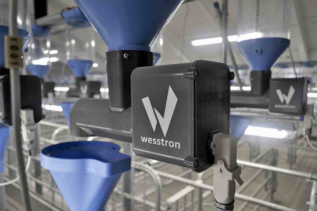 Wesstron, EuroTier 2018, trzoda chlewna, hodowcy trzody chlewnej