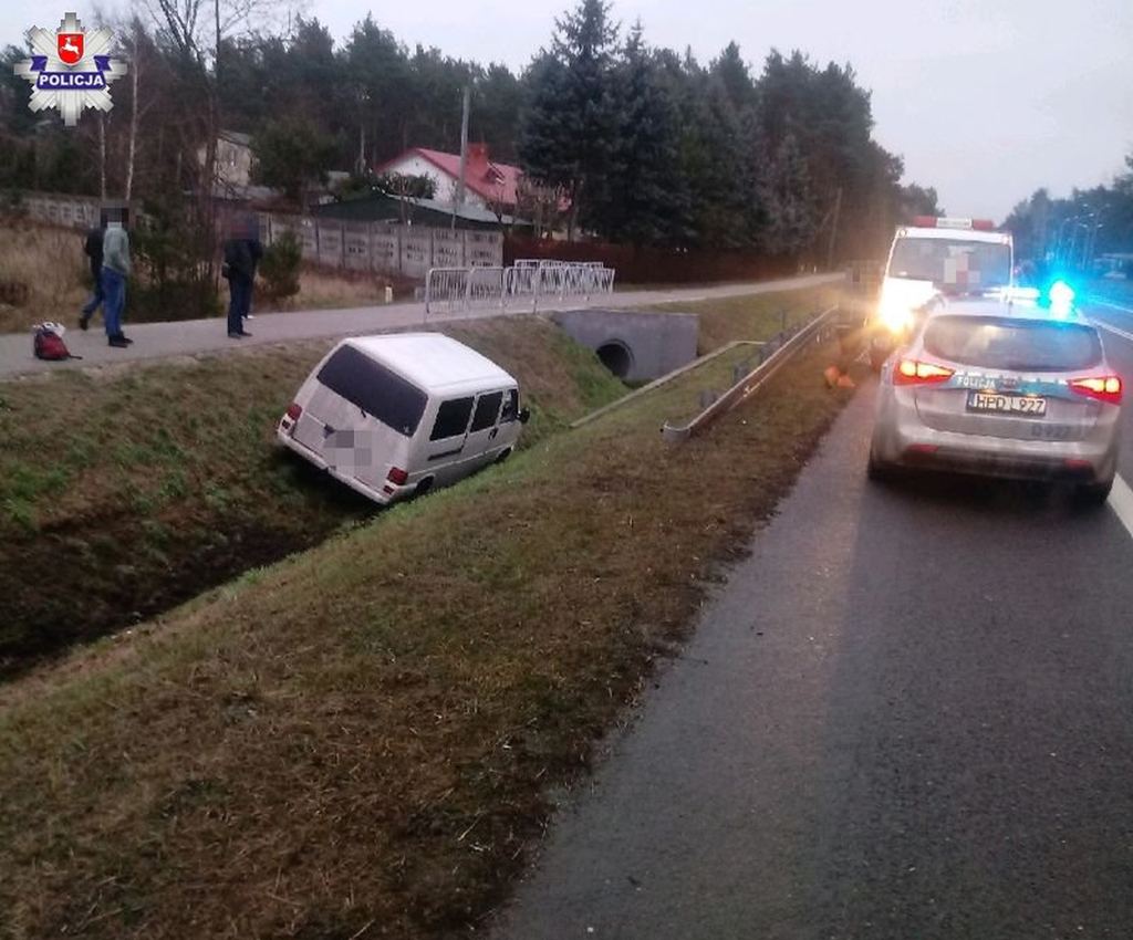 policja, kolizja, dzikię zwierze na drodze, policja, lubelskie