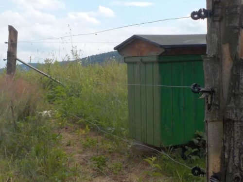 RDOŚ w Rzeszowie