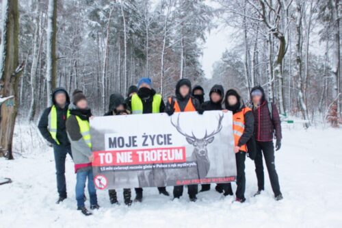 prawo łowieckie, szkody łowieckie, ministerstwo środowiska, Polski Związek Łowiecki
