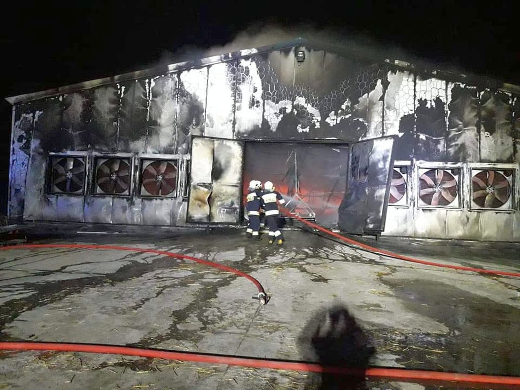 pożar, lubuskie, ogień, pożar w kurniku, pożar w Swarzynicach