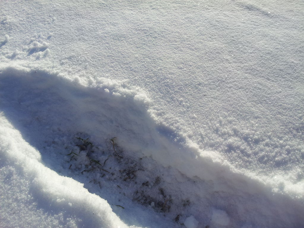 śnieg, pole