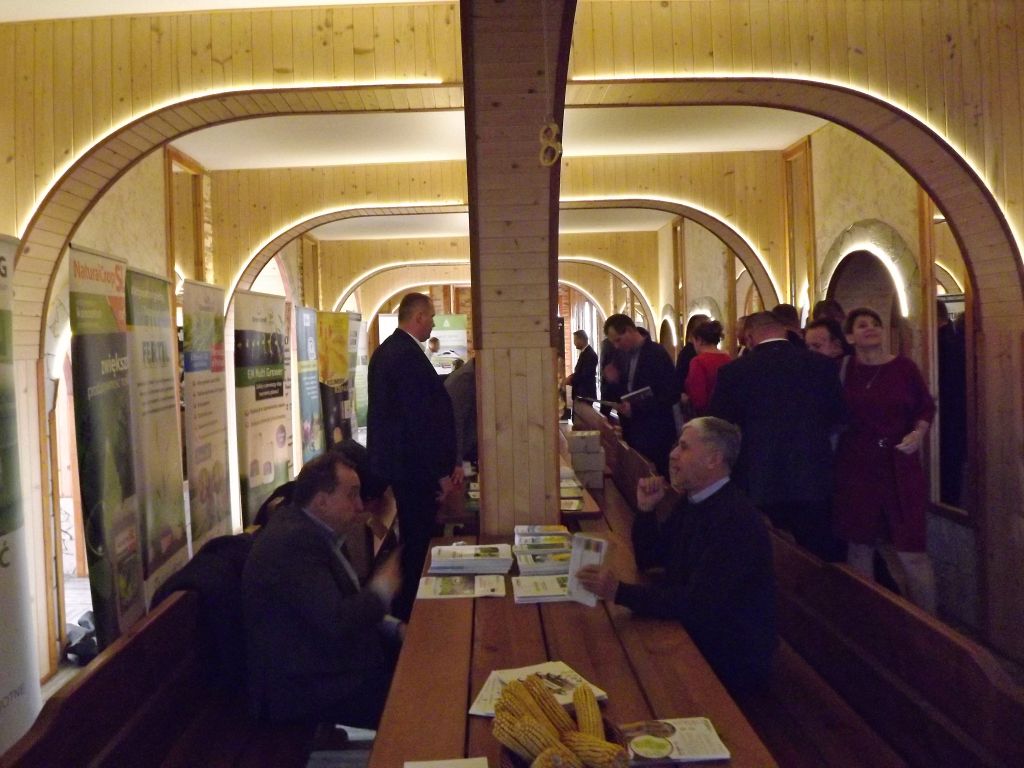 Agricola-Lublin, Paweł Mieleszko, Chotycze, rzepak, jęczmień