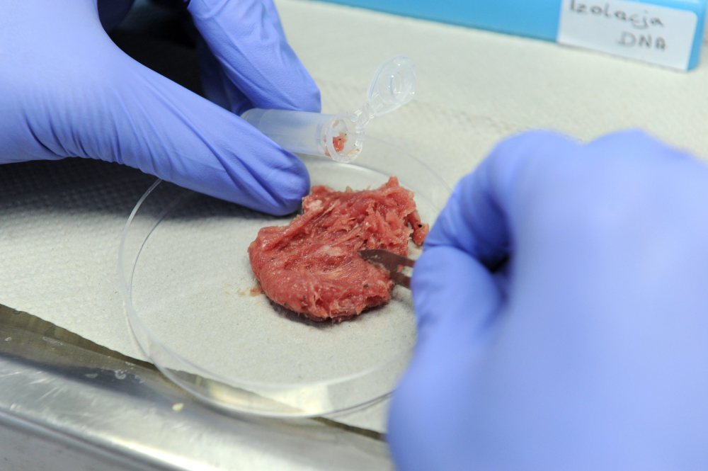 salmonella w wołowinie, miroslav toman, Główny Lekarz Weterynarii, Paweł Niemczuk, jakość żywności