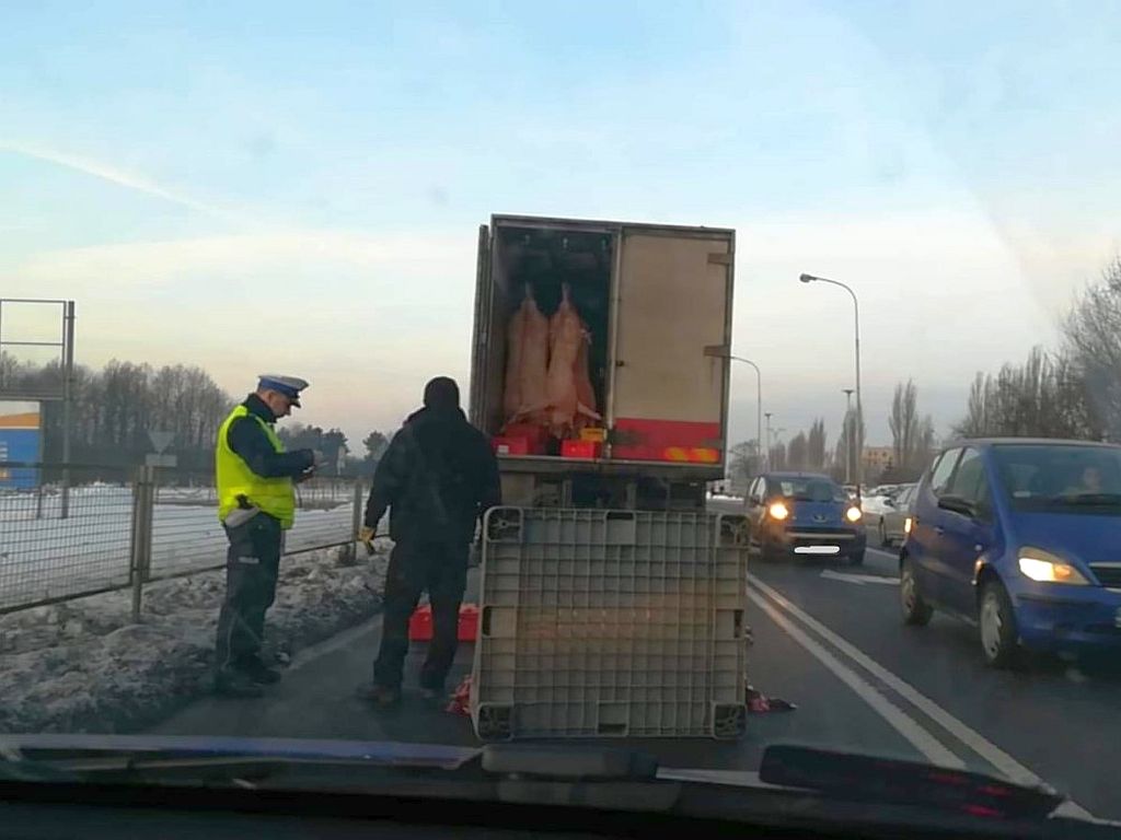 mięso na drodze, łódź, przewóz mięsa, Marzanna Boratyńska