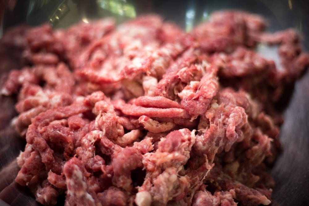 salmonnella w mięsie, słowenia, pałeczki salmonelli, Dunya Doner Kebab, Efes-pol Fedai Simsek