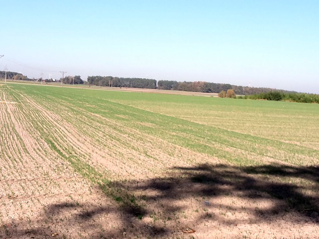 nawożenie, lubuska izba rolnicza, stanisław myśliwiec, azot, stosowanie nawozów azotowych