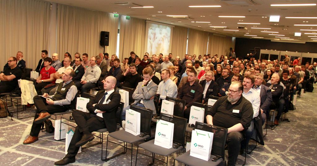MSD, trzoda chlewna, ASF, zdrowie