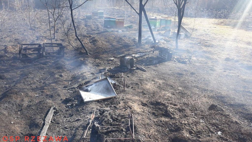 wypalanie traw, pożar uli, pożar pasieki, Dąbrówka, gmina Rzezawa