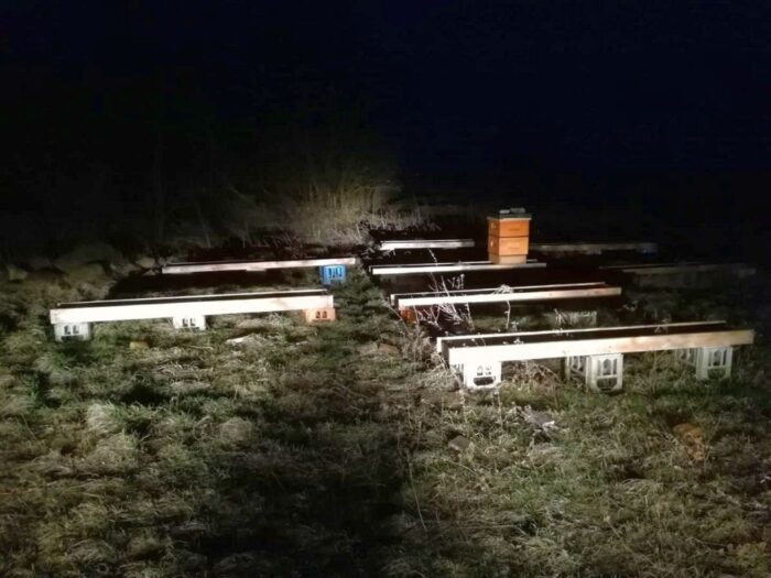 kradzież uli
