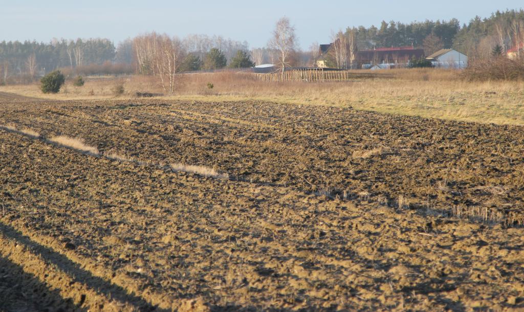 ziemia, grunty rolne, dzierżawa, ustawa o ziemi, Jan Krzysztof Ardanowski