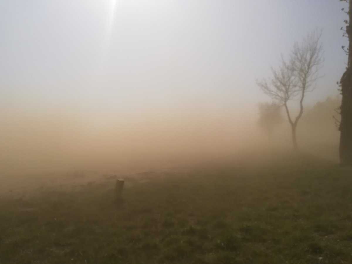 burza piaskowa, susza, rolnictwo, susza rolnicza