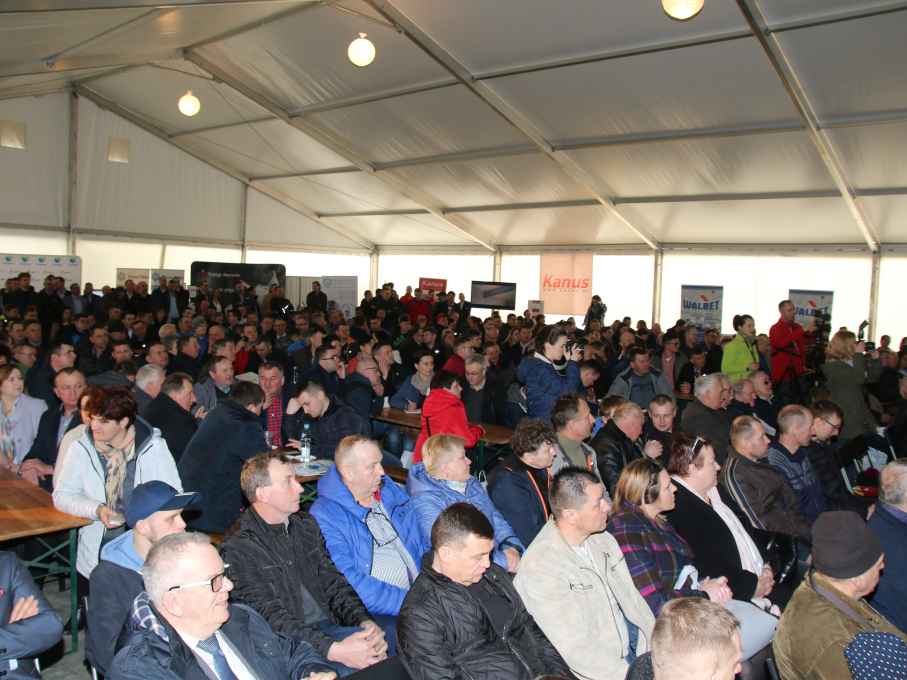 Gospodarstwo Rolne Maciej Duda, chlewnia, trzoda chlewna, lochy